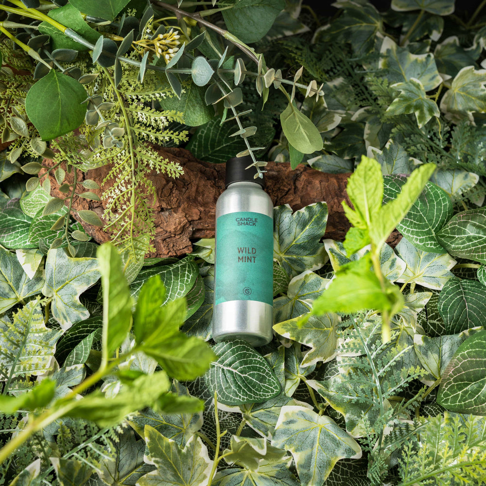 9cl Candle Recipe, Wild Mint in EU 464