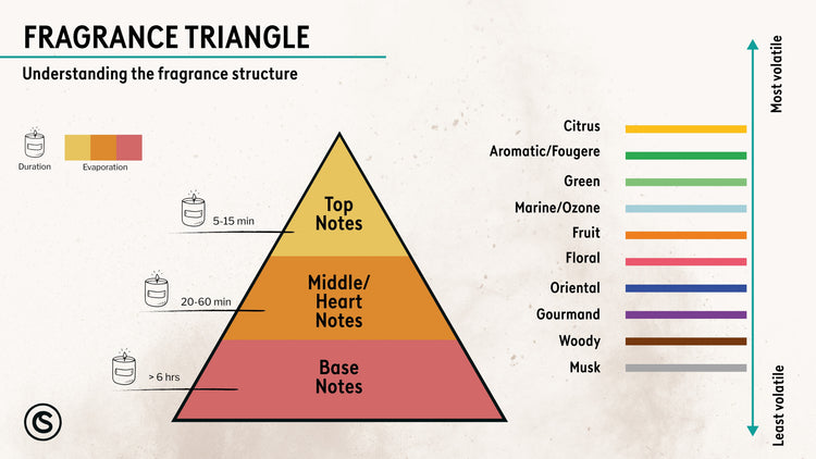 Fragrance pyramid diagram. The fragrance pyramid, top notes, heart notes, base notes. Fragrance families.