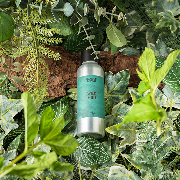 30cl Candle Recipe, Wild Mint in RCX