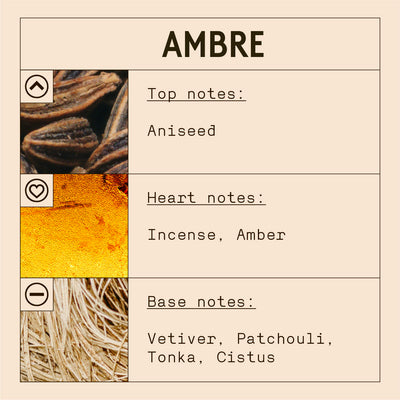 Ambre Fragrance Oil
