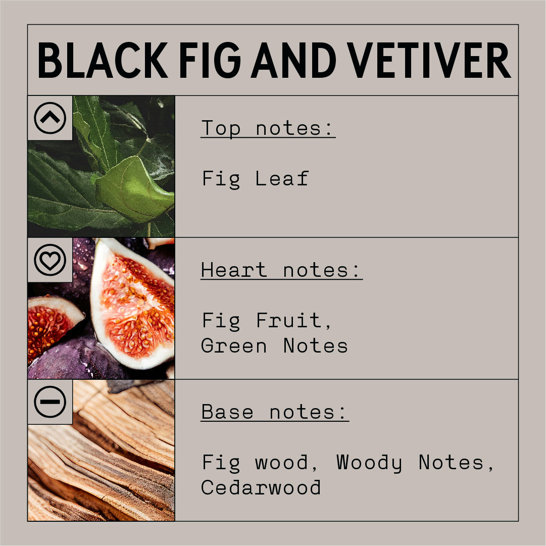 Soap2Go - Black Fig & Vetiver Liquid Soap