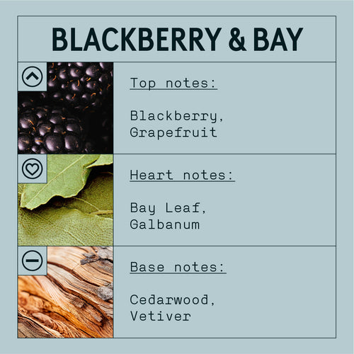 Blackberry & Bay Fragrance Oil (Concentrated)