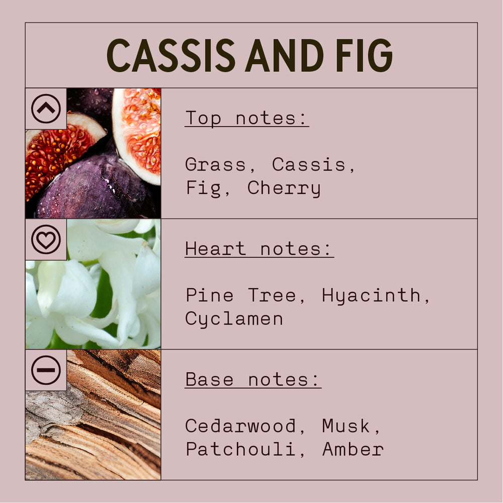 Cassis and Fig Fragrance Oil