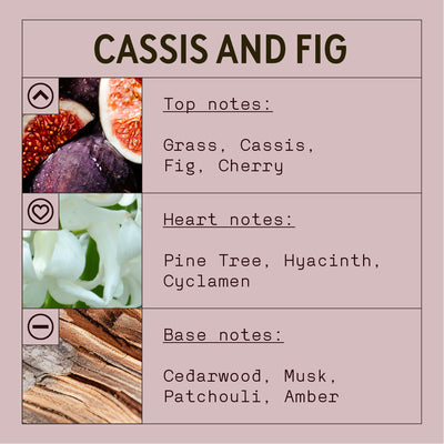 Product description card for 'Cassis and Fig' fragrance with notes and imagery on a pink background.