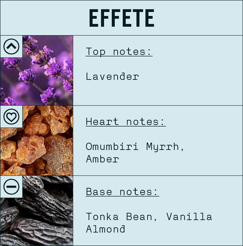Effete Fragrance Oil