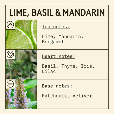 Lime, Basil & Mandarin fragrance oil scent card with citrus, aromatic and woody notes