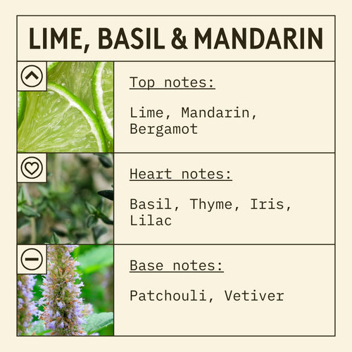 Infographic about lime, basil, and mandarin with images and notes on a beige background