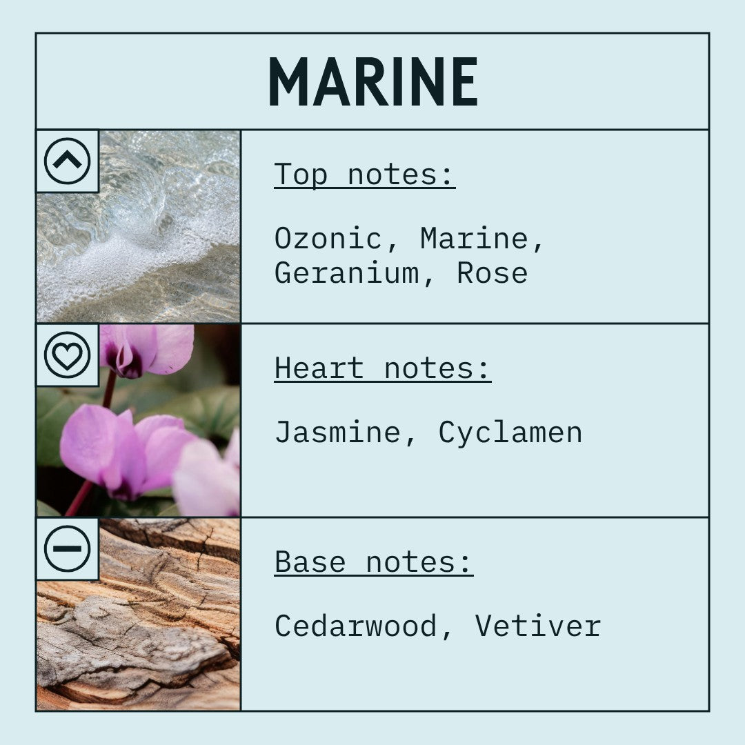 Marine fragrance oil – floral green woody candle scent by Candle Shack