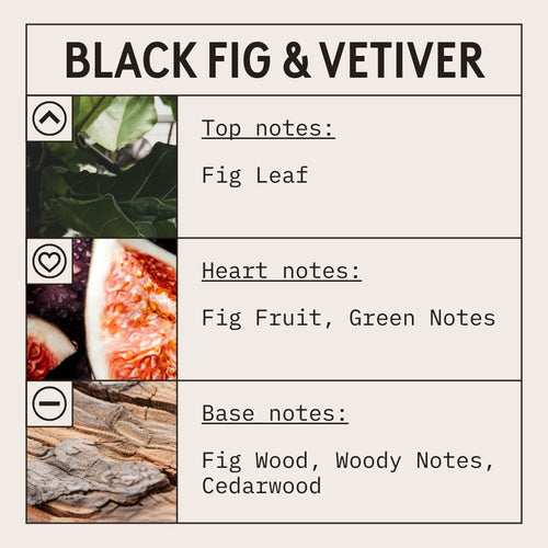 Black Fig & Vetiver fragrance oil scent card with fruity, musky and woody notes