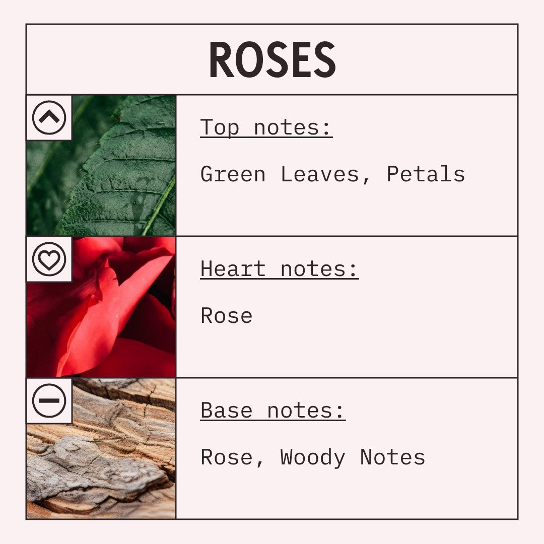 Roses fragrance oil scent card with floral and green notes