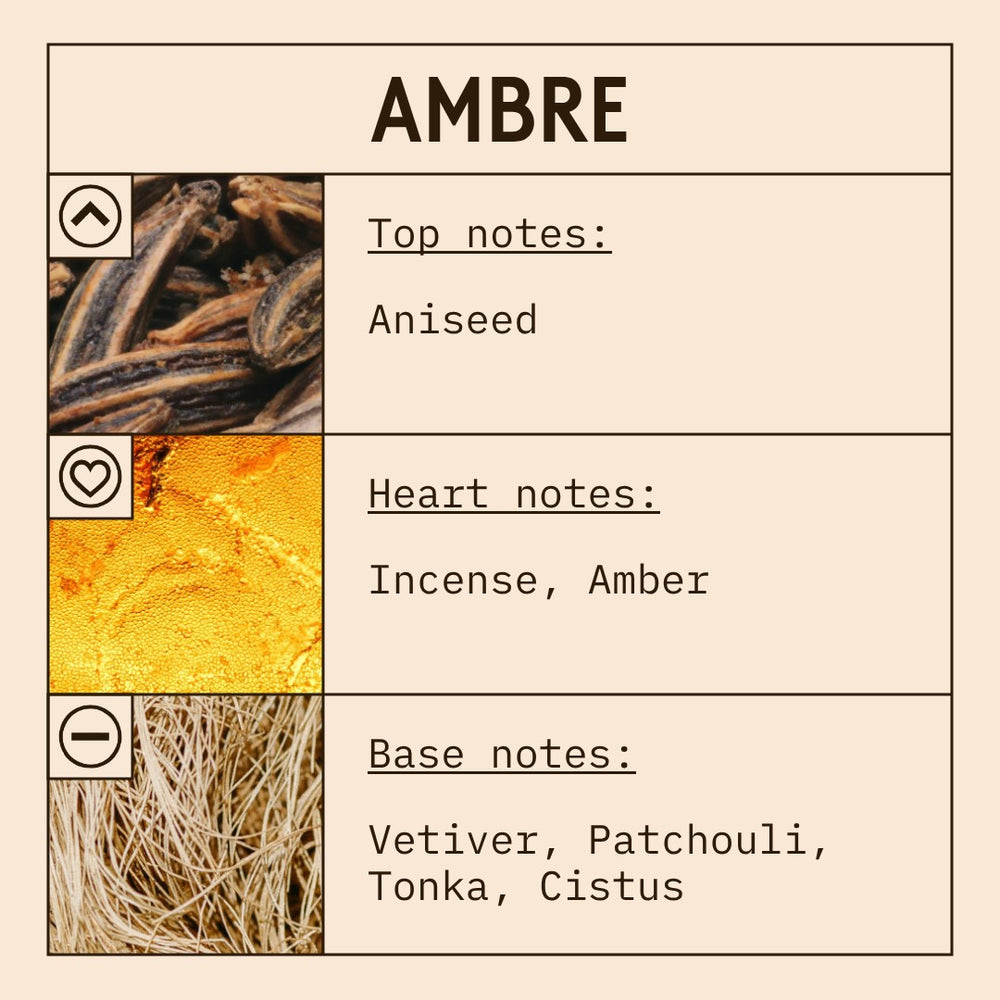 Ambre fragrance oil scent card with oriental, woody notes