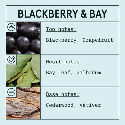 Blackberry & Bay fragrance oil scent card with fruity, floral and woody notes