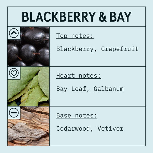 Blackberry & Bay fragrance oil scent card with fruity, floral and woody notes