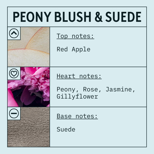 Peony & Blush Suede fragrance oil scent card with floral and fruity notes