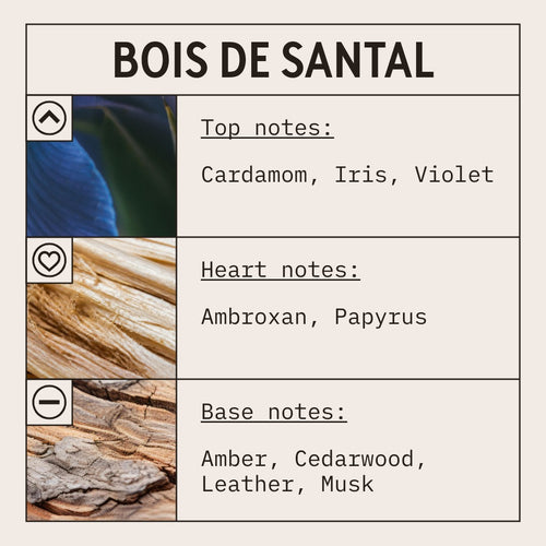 Bois De Santal fragrance oil scent card with floral, oriental and woody notes