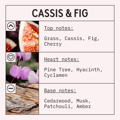 Cassis and Fig fragrance oil scent card with fruity, gourmand and woody notes