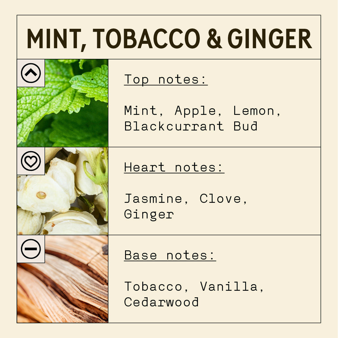 Mint, Ginger and Tobacco Fragrance Oil