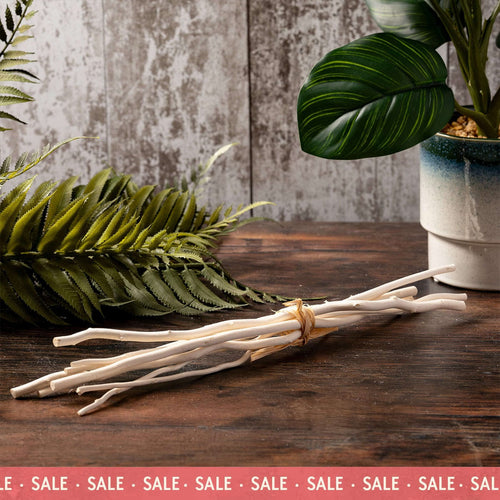 Natural Willow Diffuser Reeds 300mm