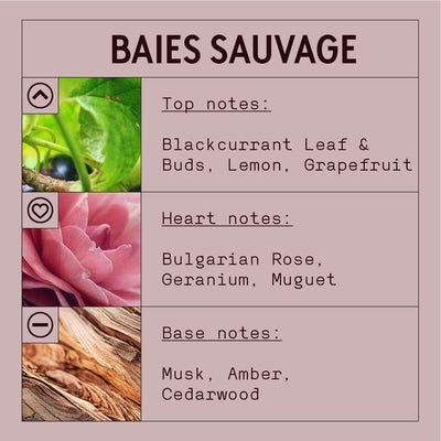 Baies Sauvage Fragrance Oil