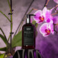 Soap2Go - Black Orchid Liquid Soap
