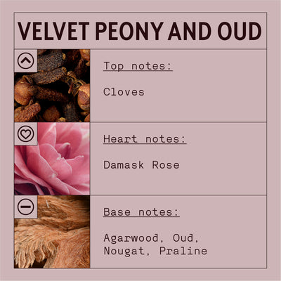 Velvet Peony & Oud Fragrance Oil