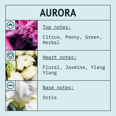 Aurora Fragrance Oil scent card (English)