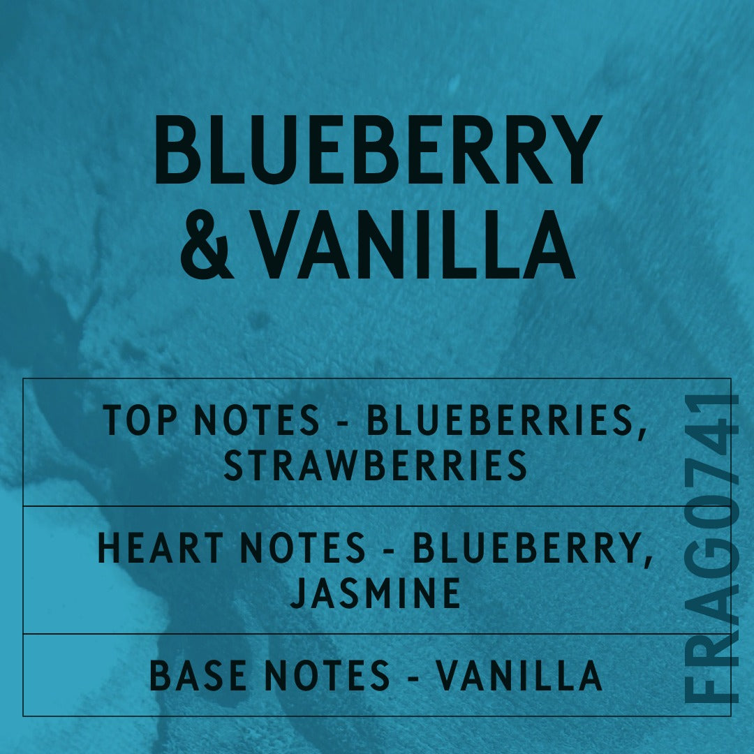 Blueberry & Vanilla fragrance oil - Candle Shack aluminium bottle with dried botanicals on a dark slate background