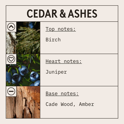 Cedar & Ashes Fragrance Oil scent card (English)