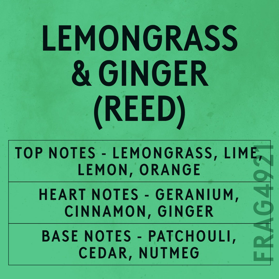 Lemongrass & Ginger Reed Fragrance Oil scent card (English)