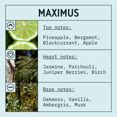 Maximus Fragrance Oil scent card (English)
