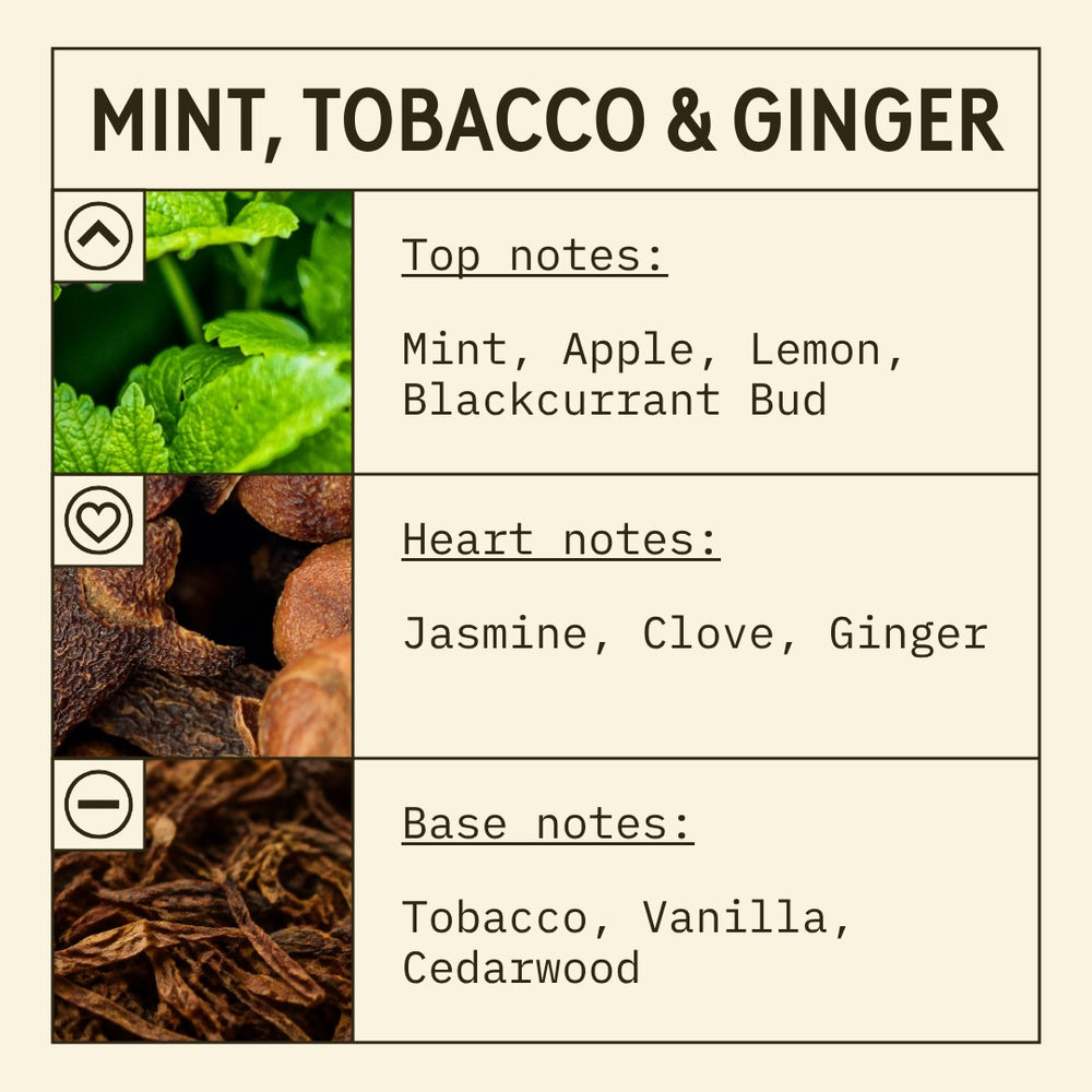 Mint, Ginger and Tobacco Fragrance Oil scent card (English)