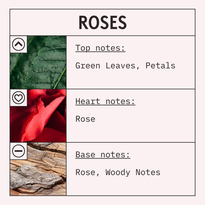 Roses Fragrance Oil scent card (English)