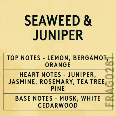 Seaweed and Juniper Fragrance Oil scent card (English)