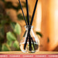 100ml Ava Diffuser - Clear (Box of 6)