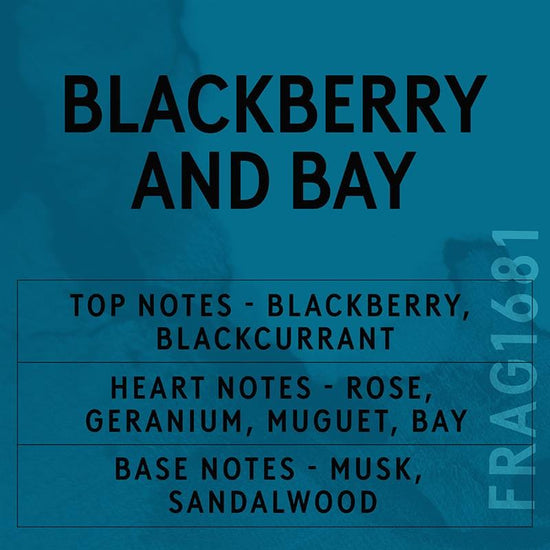 Blackberry & Bay Fragrance Oil (Concentrated)