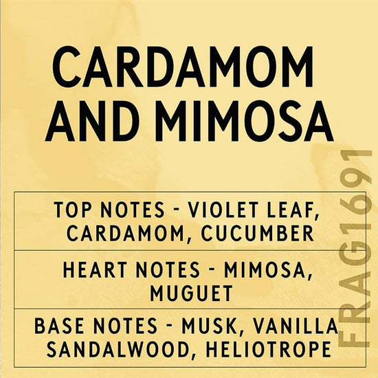 Cardamom & Mimosa Fragrance Oil (Concentrated)