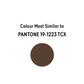 Cocoa - Mica Powder pantone