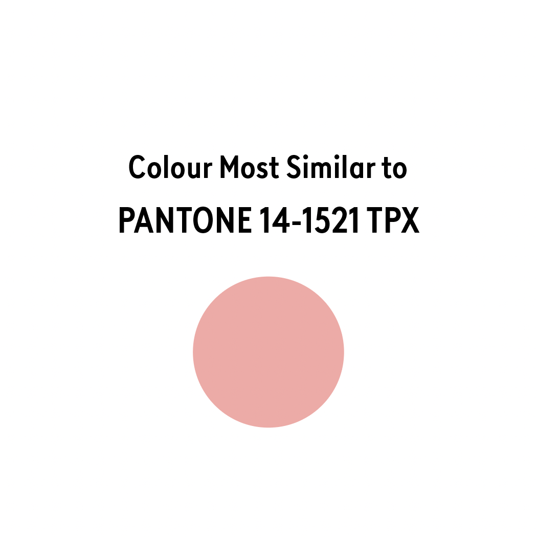Dusky Rose - Mica Powder Pantone