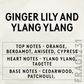 Soap2Go - Ginger Lily & Ylang Ylang Liquid Soap