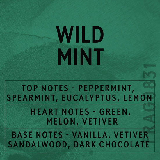 Wild Mint Fragrance Oil