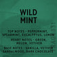 Wild Mint Fragrance Oil