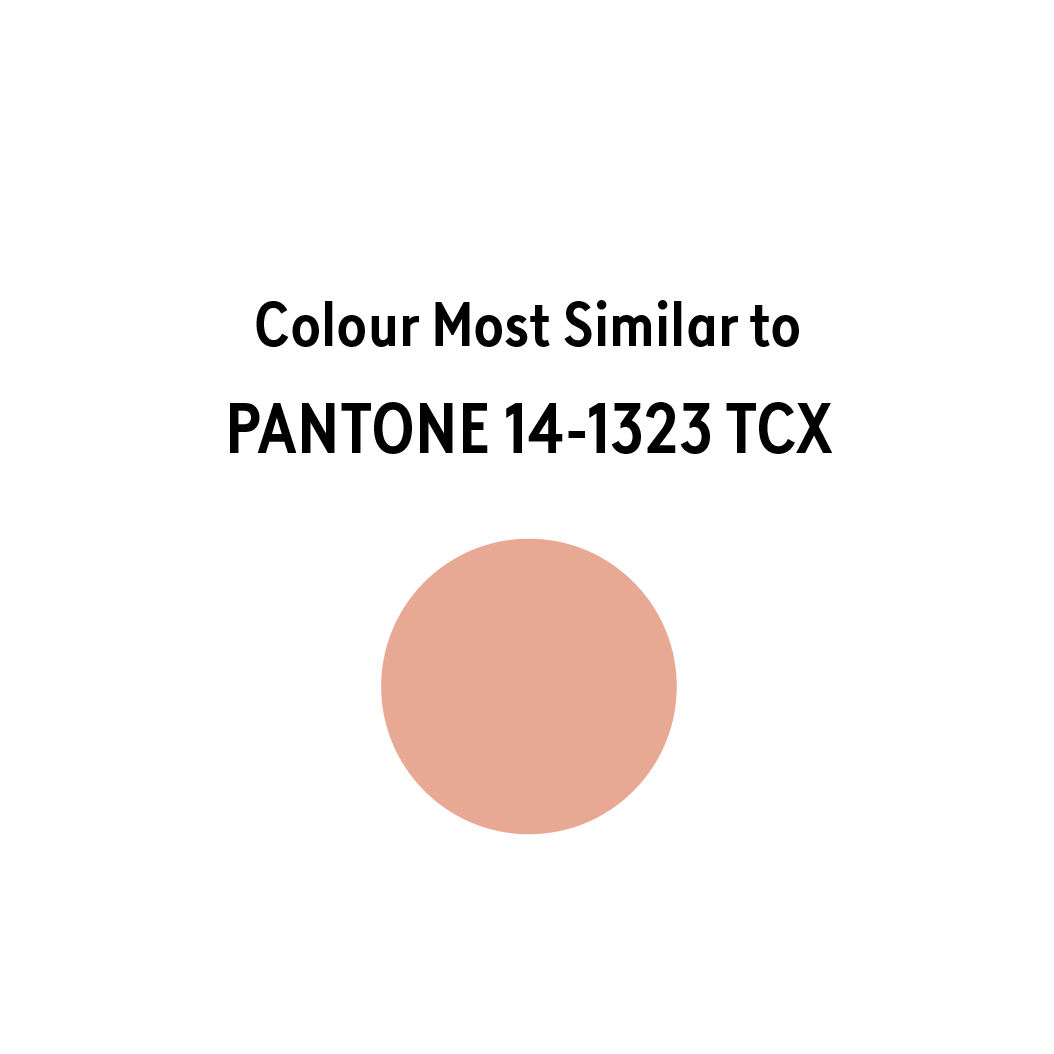 Petal - Mica Powder pantone