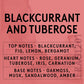 Soap2Go - Blackcurrant & Tuberose Liquid Soap