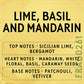 Hand & Body Lotion - Lime, Basil & Mandarin