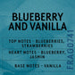 Blueberry & Vanilla Fragrance Oil